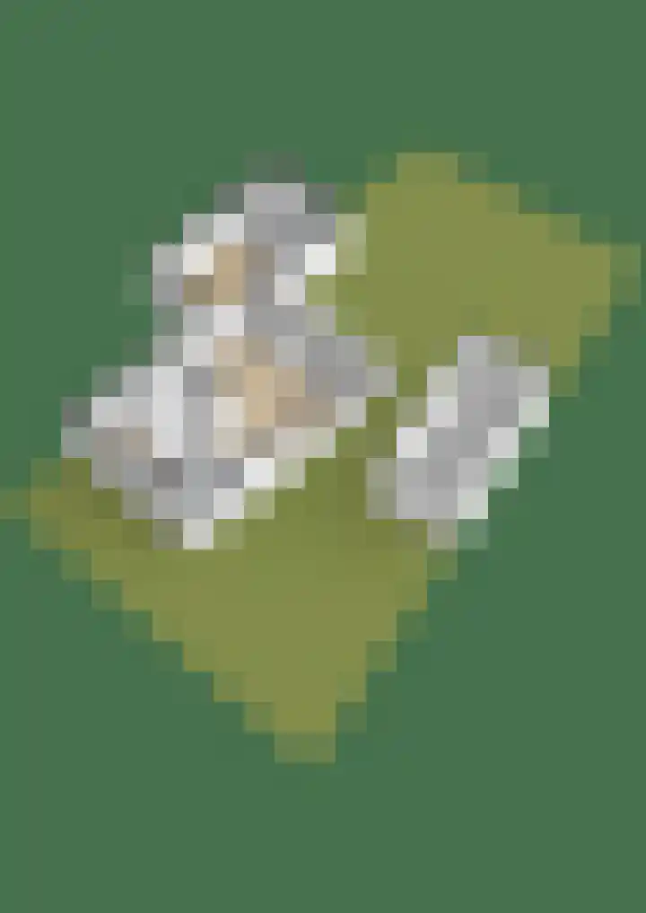 Ter Warden 34 Nuenen thumbnail 42