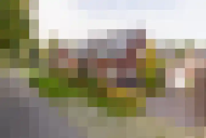 Ter Warden 34 Nuenen thumbnail 8