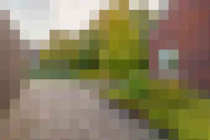 Ter Warden 34 Nuenen thumbnail 9