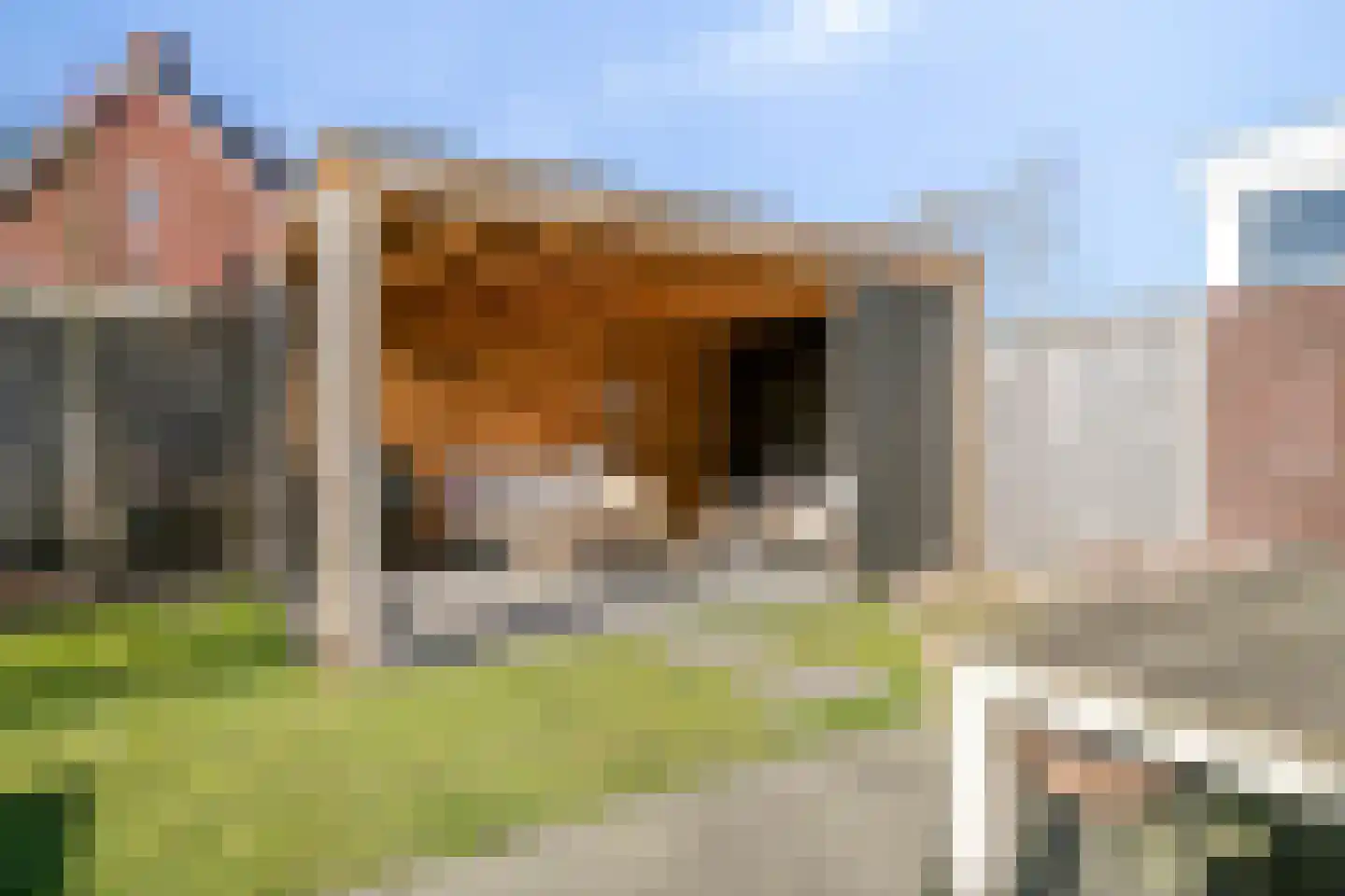 Ter Warden 42 Nuenen thumbnail 28