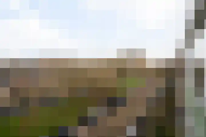 Ter Weerlaan 104 Wassenaar thumbnail 16
