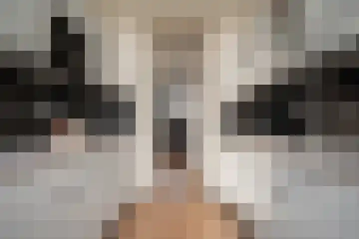 Ter Weerlaan 104 Wassenaar thumbnail 17