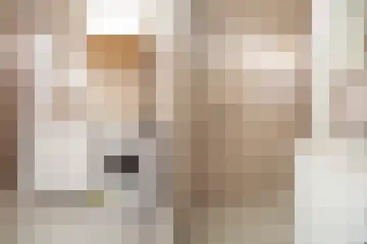 Ter Weerlaan 104 Wassenaar thumbnail 21