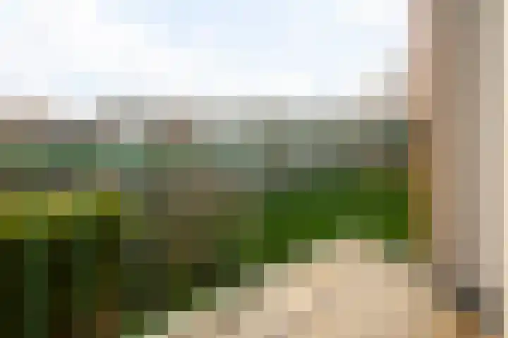 Ter Weerlaan 104 Wassenaar thumbnail 22