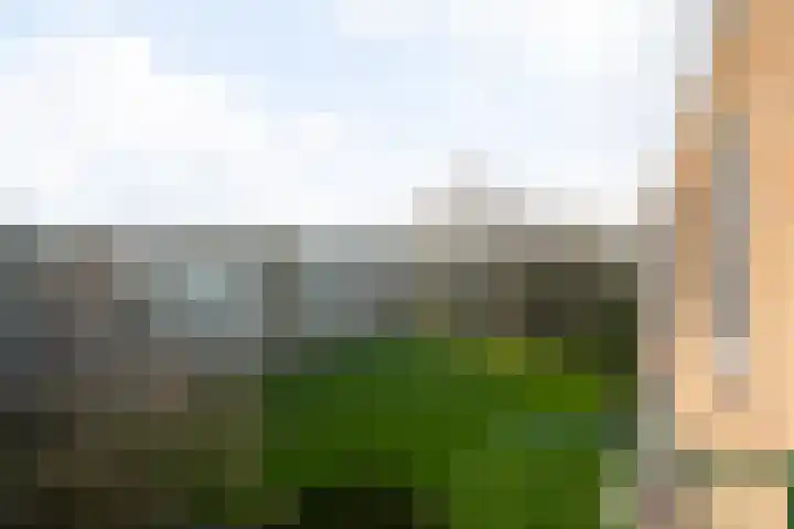 Ter Weerlaan 104 Wassenaar thumbnail 23