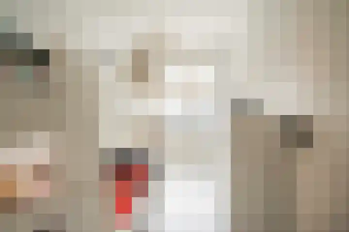 Ter Weerlaan 104 Wassenaar thumbnail 9