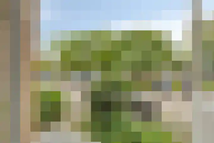 Ter Weerlaan 142 Wassenaar thumbnail 11