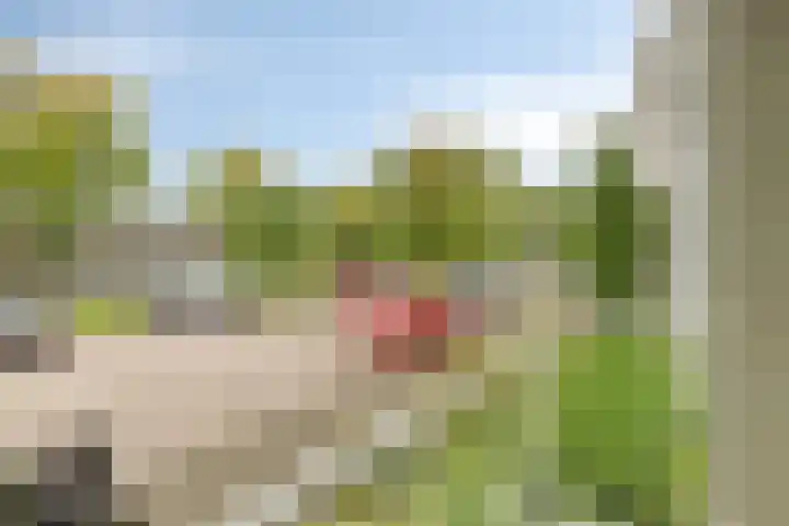 Ter Weerlaan 142 Wassenaar thumbnail 12
