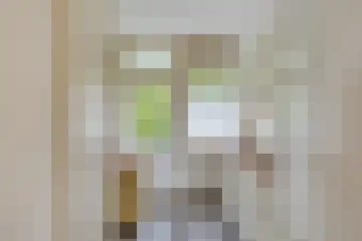 Ter Weerlaan 142 Wassenaar thumbnail 15