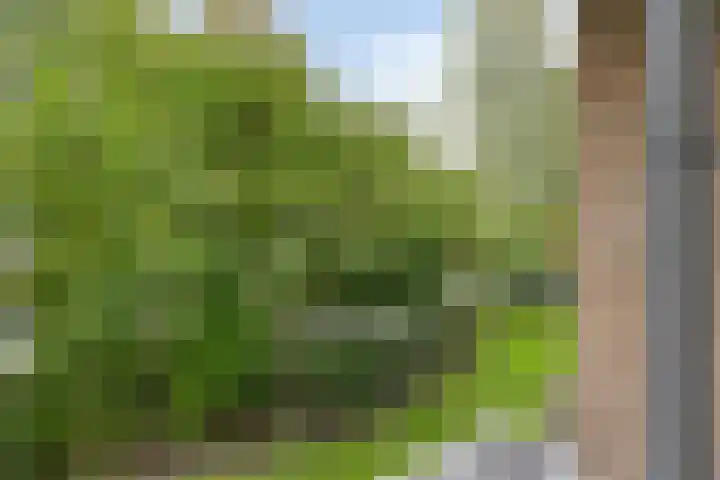 Ter Weerlaan 142 Wassenaar thumbnail 16