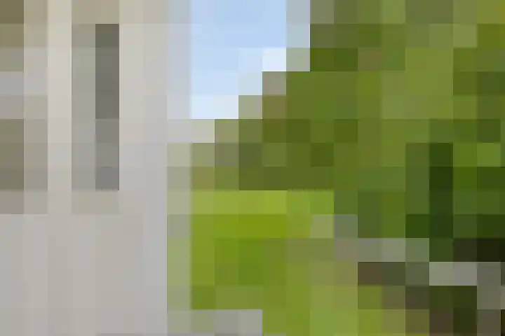 Ter Weerlaan 142 Wassenaar thumbnail 17