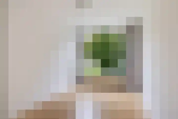 Ter Weerlaan 142 Wassenaar thumbnail 19