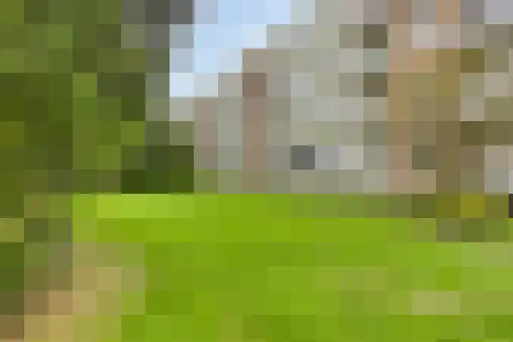 Ter Weerlaan 142 Wassenaar thumbnail 23