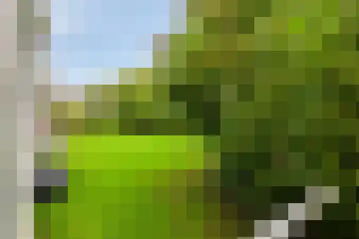 Ter Weerlaan 142 Wassenaar thumbnail 24