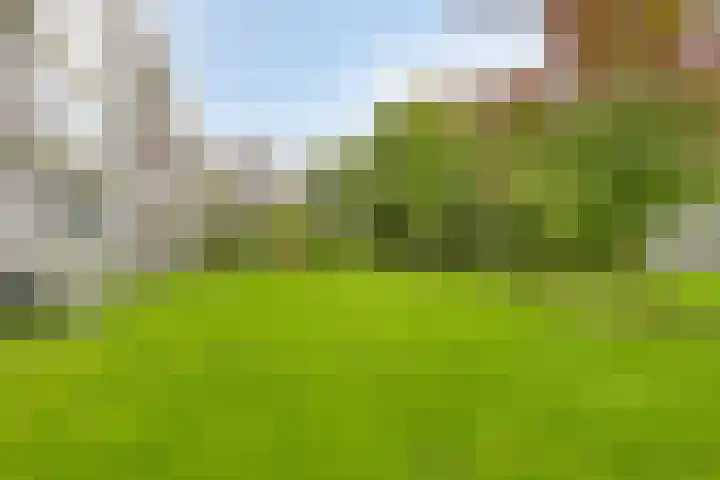 Ter Weerlaan 142 Wassenaar thumbnail 5