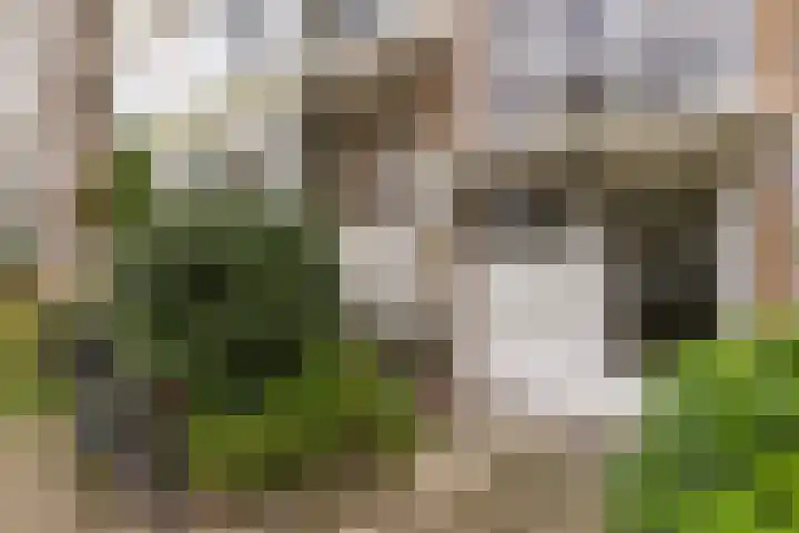 Ter Weerlaan 142 Wassenaar thumbnail 6