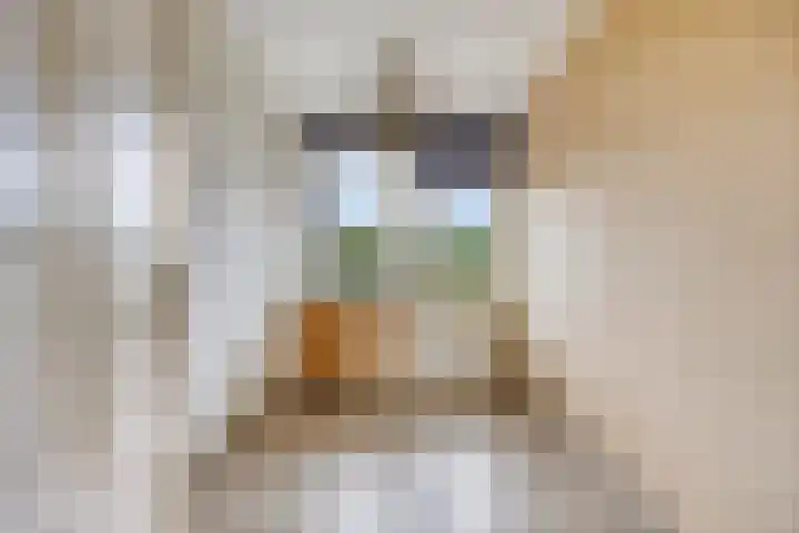 Ter Weerlaan 186 Wassenaar thumbnail 17