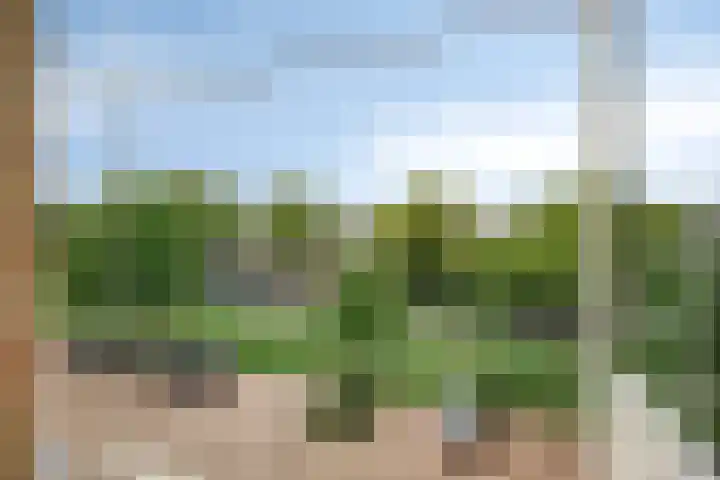 Ter Weerlaan 186 Wassenaar thumbnail 19