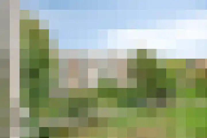 Ter Weerlaan 186 Wassenaar thumbnail 24