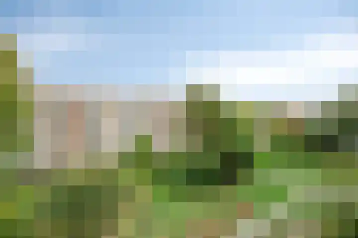 Ter Weerlaan 186 Wassenaar thumbnail 25