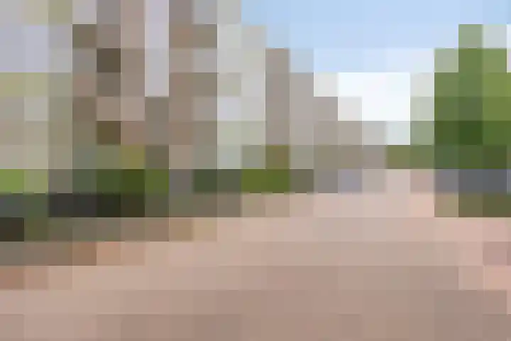 Ter Weerlaan 186 Wassenaar thumbnail 26