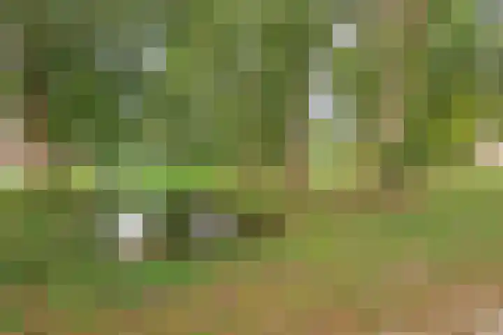 Ter Weerlaan 186 Wassenaar thumbnail 27