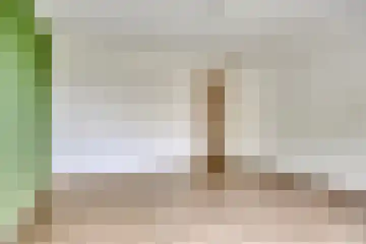 Ter Weerlaan 186 Wassenaar thumbnail 4