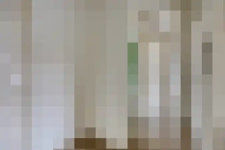 Ter Weerlaan 186 Wassenaar thumbnail 8