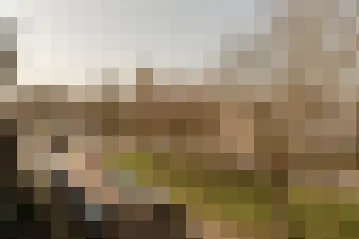 Ter Weerlaan 52 Wassenaar thumbnail 12