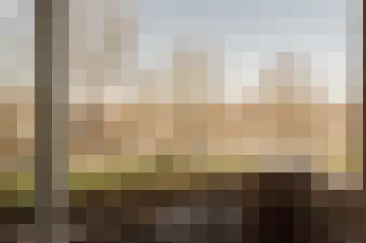 Ter Weerlaan 52 Wassenaar thumbnail 31
