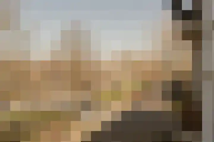 Ter Weerlaan 52 Wassenaar thumbnail 32