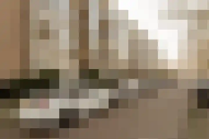 Ter Weerlaan 52 Wassenaar thumbnail 4