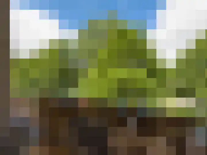 Ter Weerlaan 58 Wassenaar thumbnail 15