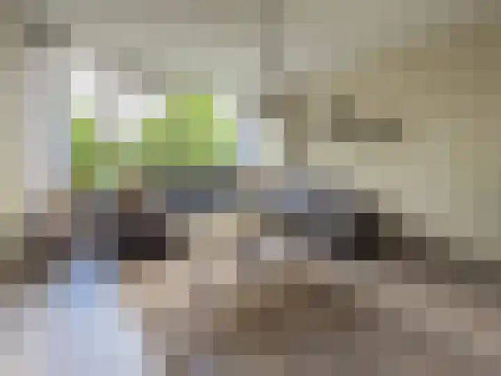 Ter Weerlaan 58 Wassenaar thumbnail 8