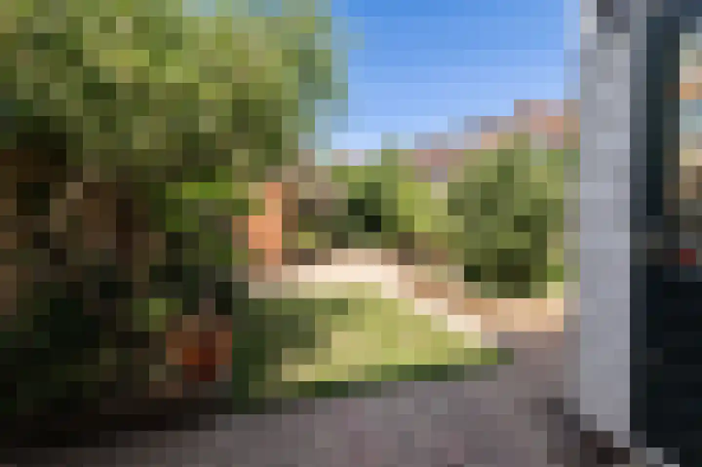 Ter Weijdelaan 24 Culemborg thumbnail 11