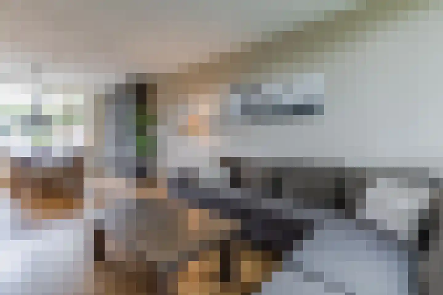 Ter Weijdelaan 3 Culemborg thumbnail 10