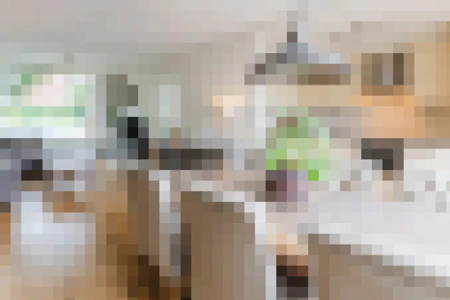 Ter Weijdelaan 3 Culemborg thumbnail 12