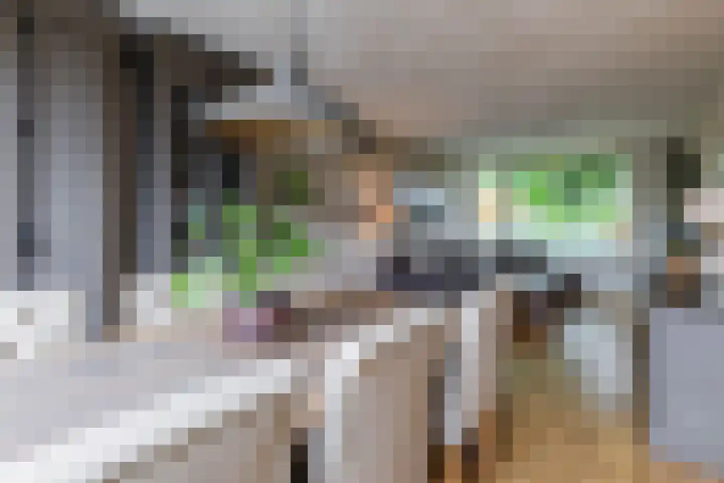Ter Weijdelaan 3 Culemborg thumbnail 13