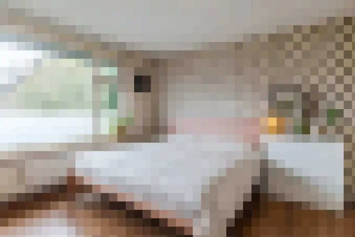 Ter Weijdelaan 3 Culemborg thumbnail 20