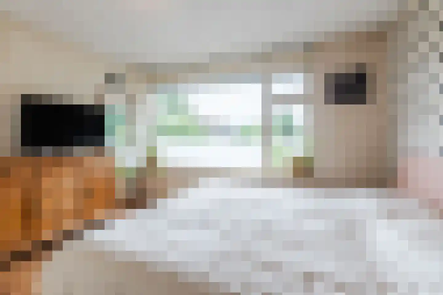 Ter Weijdelaan 3 Culemborg thumbnail 21