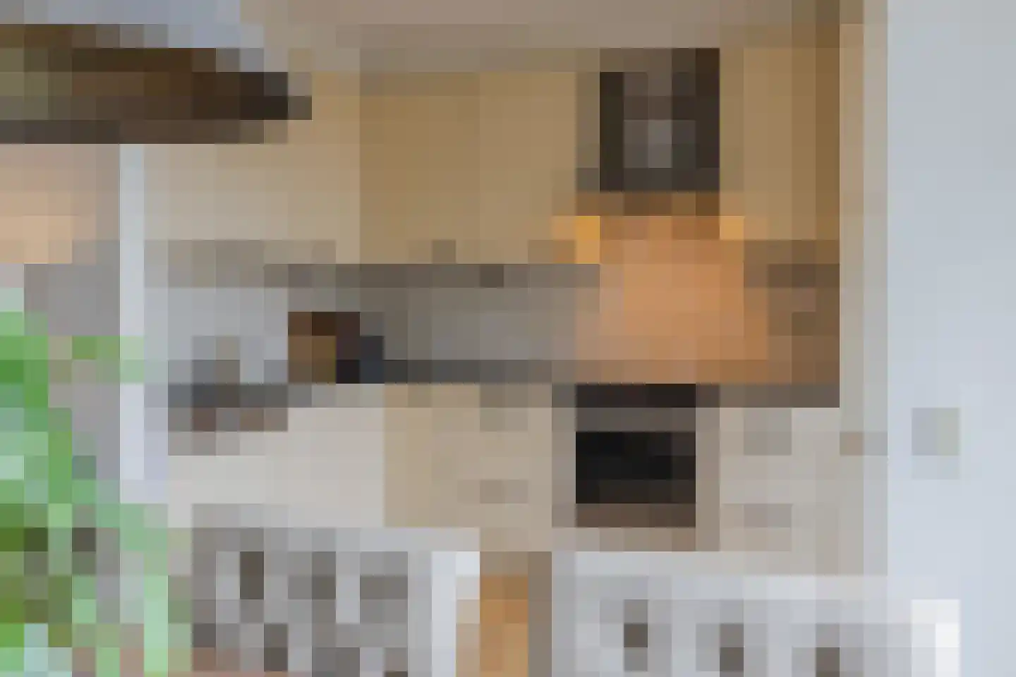 Ter Weijdelaan 3 Culemborg thumbnail 4