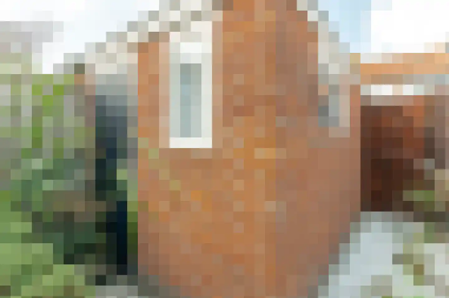 Ter Weijdelaan 8 Culemborg thumbnail 23