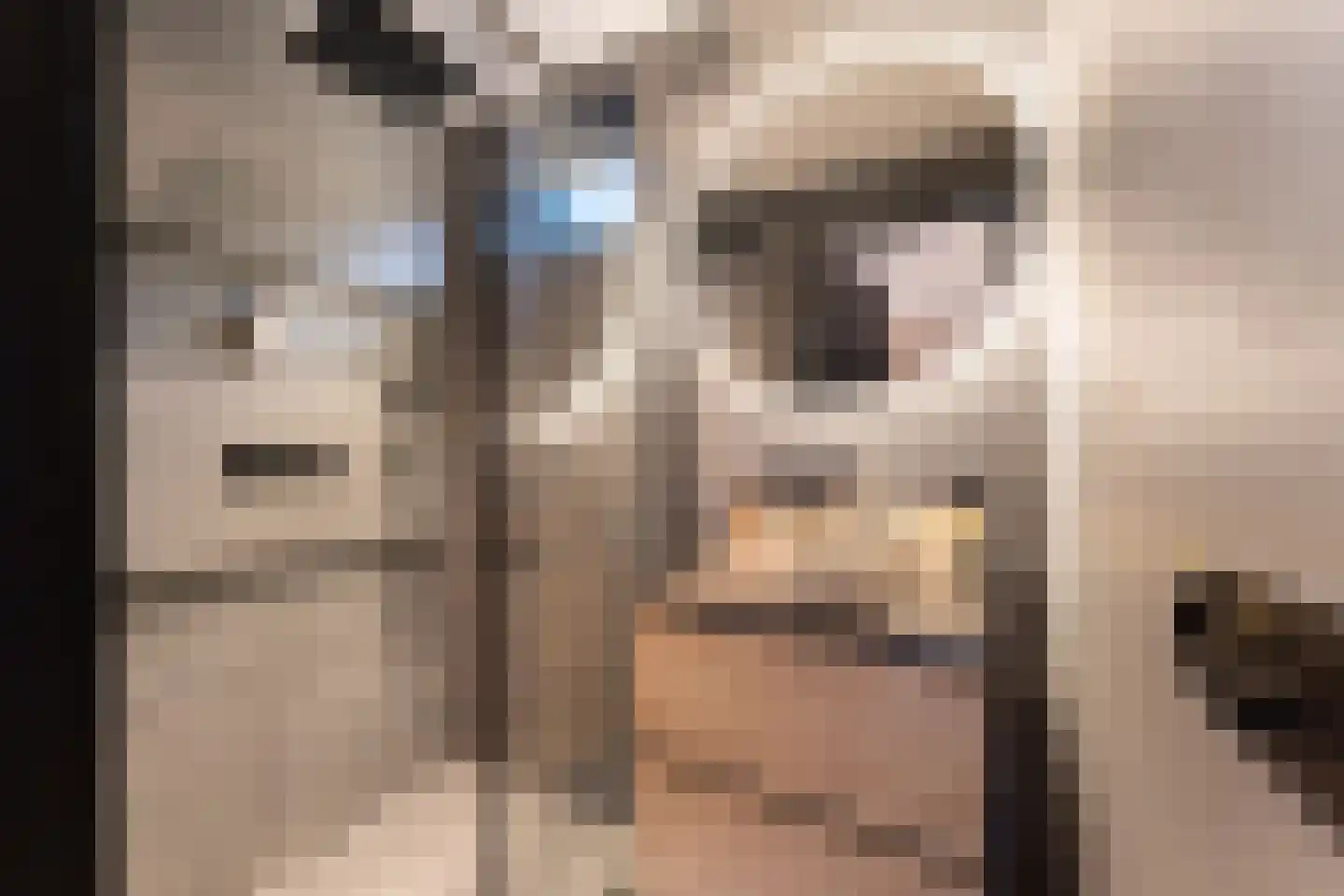 Ter Weijdenlaan 2 a Blaricum thumbnail 17
