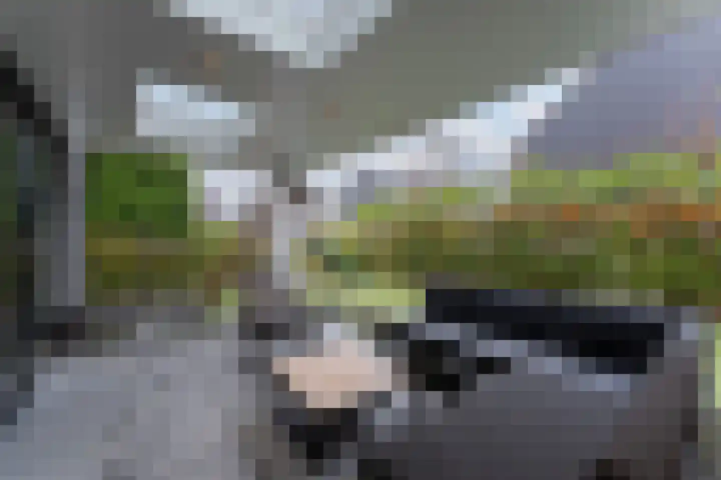 Ter Weijdenlaan 2 a Blaricum thumbnail 19