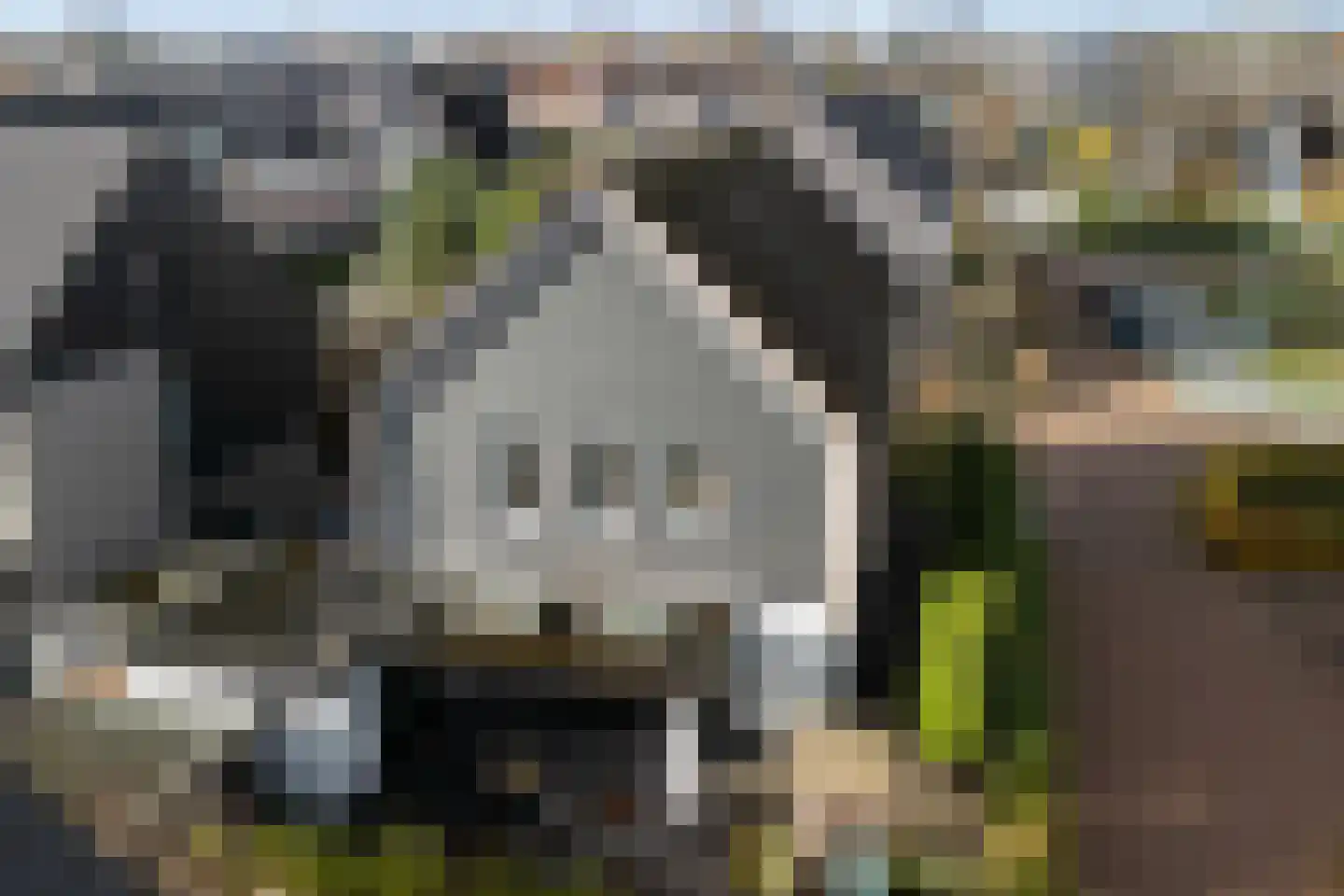 Ter Weijdenlaan 2 a Blaricum foto 2