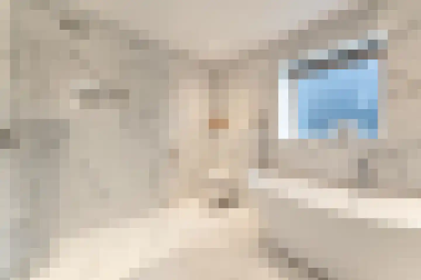 Ter Weijdenlaan 2 a Blaricum thumbnail 28