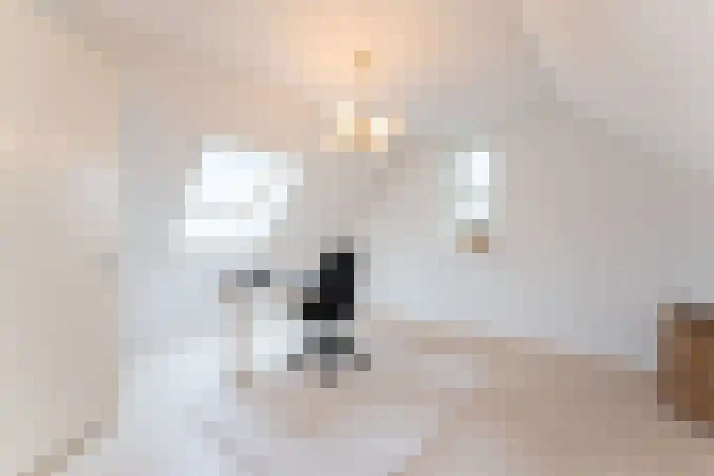 Ter Weijdenlaan 2 a Blaricum thumbnail 35
