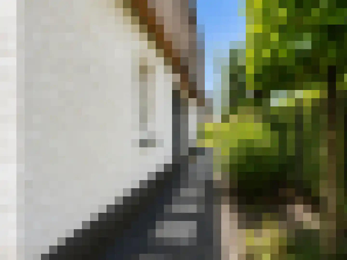 Ter Weijdenlaan 2 a Blaricum thumbnail 38