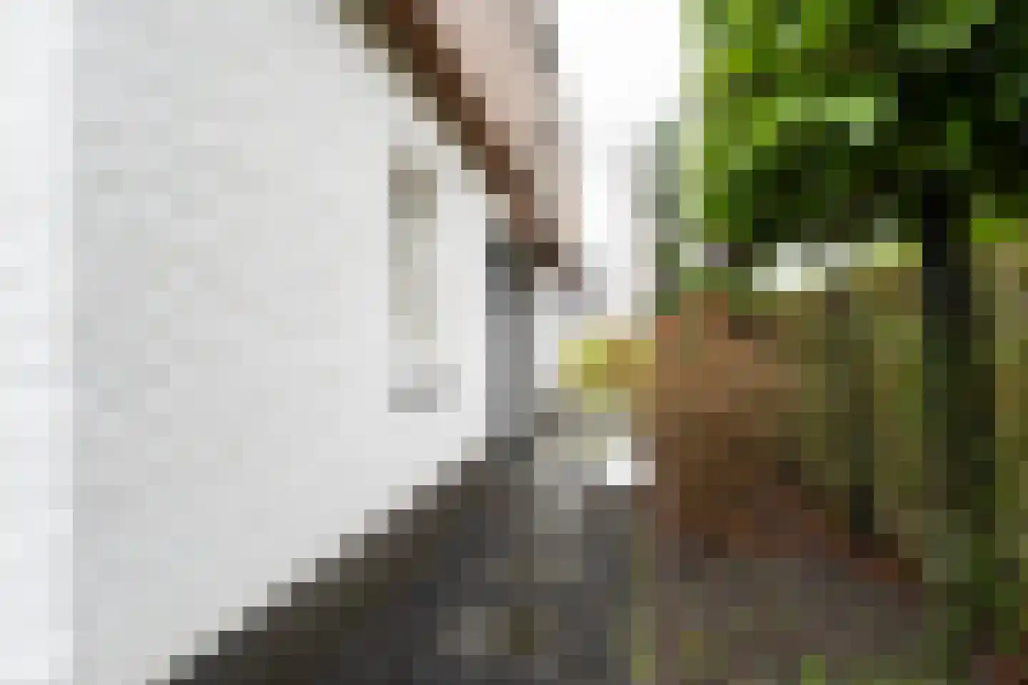 Ter Weijdenlaan 2 a Blaricum thumbnail 38
