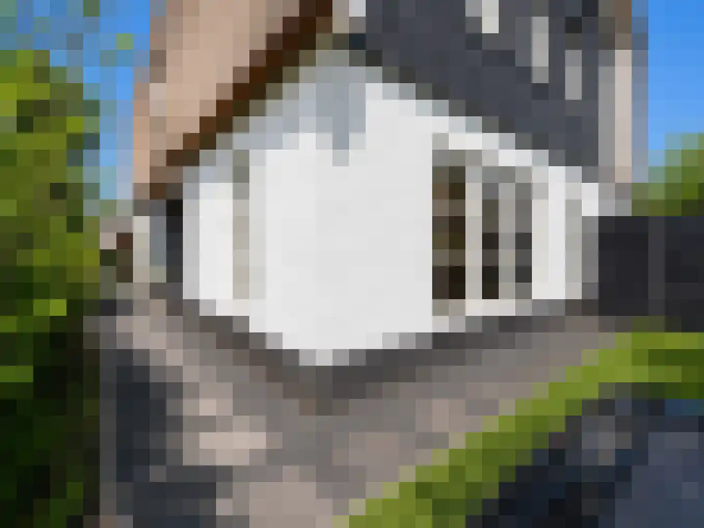 Ter Weijdenlaan 2 a Blaricum thumbnail 39